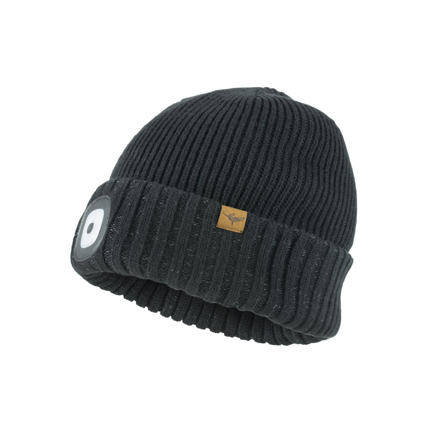 beanie20hat-512vrk.jpg